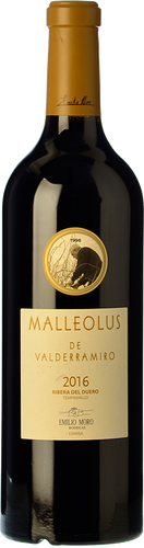 Malleolus de Valderramiro 2016