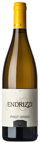 Endrizzi Pinot Grigio 2020