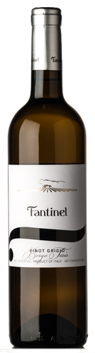 Fantinel Friuli Pinot Grigio Borgo Tesis 2019