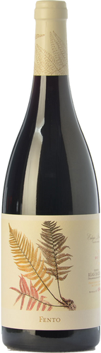 Fento Tinto 2019