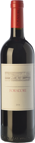 Foradori Teroldego 2019