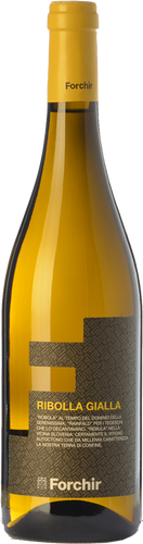 Forchir Ribolla Gialla 2019