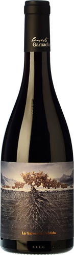 La Garnacha Perdida del Pirineo 2017