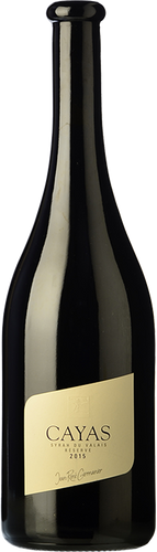 Germanier Cayas Syrah 2016