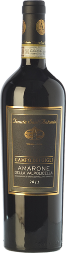 Tenuta Sant'Antonio Amarone Campo dei Gigli 2015