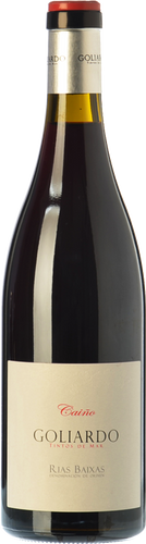 Goliardo Caiño 2015