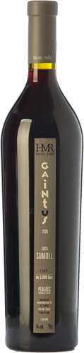 Mont Rubí Gaintus Vertical 2010
