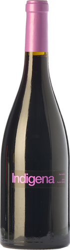 Indígena Negre 2017