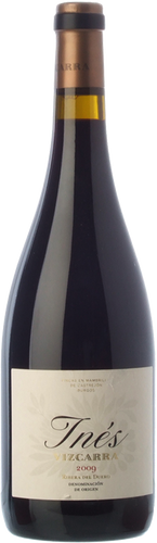 Inés Vizcarra 2015