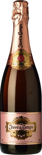Juvé & Camps Millésimé Rosé 2012