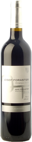 Josep Foraster Criança 2016
