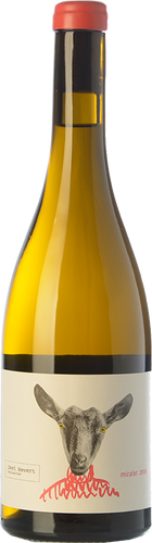 Javi Revert Micalet 2017