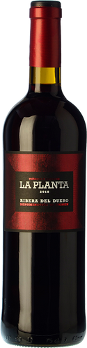 La Planta 2019