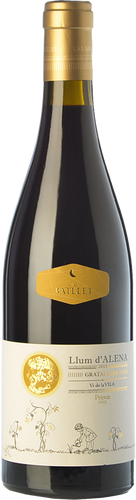 Llum d'Alena 2016