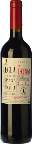 La Legua Parcela La Escuadra 2016
