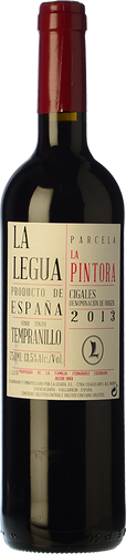 La Legua Parcela La Pintora 2013