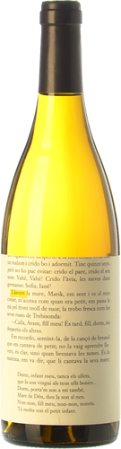 Llavors Blanc 2018 Llavors Blanc 2018