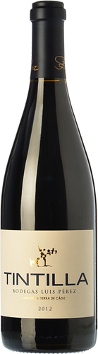 Luis Pérez Tintilla 2017