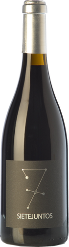 Ismael Gozalo Microbio Sietejuntos Syrah 2018