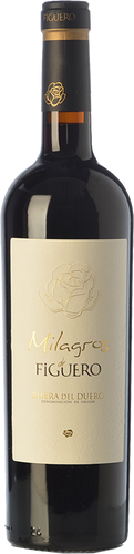 Milagros de Figuero 2014