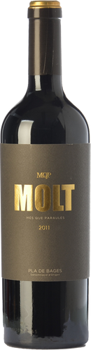 Molt Més Que Paraules 2013
