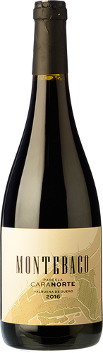 Montebaco Cara Norte 2016