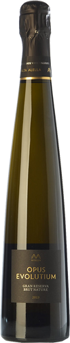 AA Mirgin Opus Evolutium Gran Reserva 2013