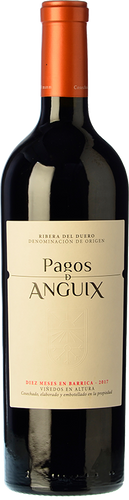 Pagos de Anguix 10 Meses 2017