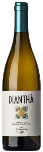Pellegrino Dianthà 2020