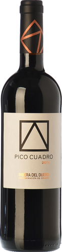 Pico Cuadro 2011