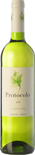 Protocolo Blanco 2019
