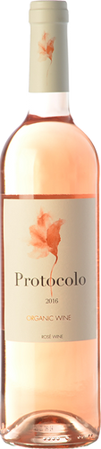 Protocolo Rosado 2019