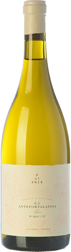 Pujanza Anteportalatina 2015