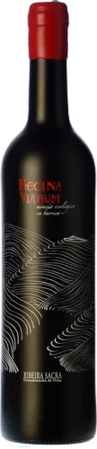 Regina Viarum Ecológico 2017