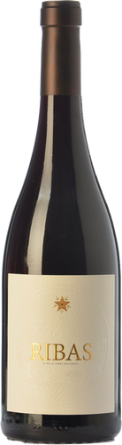 Ribas Negre 2018