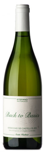 Santa Barbara Verdicchio di Jesi Back to Basics 2018