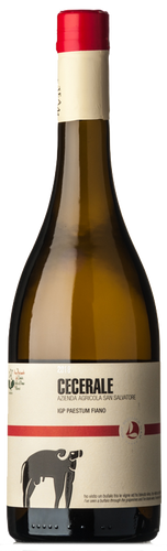 San Salvatore Fiano Cecerale 2018