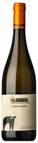 San Salvatore Falanghina 2019