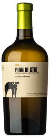 San Salvatore Fiano Pian di Stio 2019