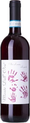 Monte dall'Ora Valpolicella Classico Saseti 2019
