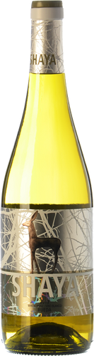 Shaya Verdejo 2019