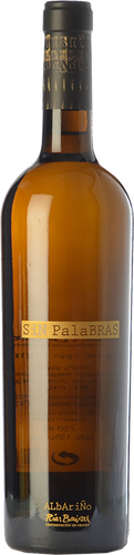 Sin Palabras Edición Especial 2013