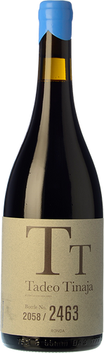 Tadeo Tinaja 2017