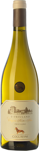 Collavini Collio T-Friulano 2019