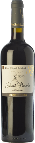 Torrent Negre Selecció Privada Syrah 2008