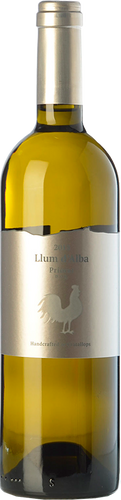 Llum d'Alba 2017