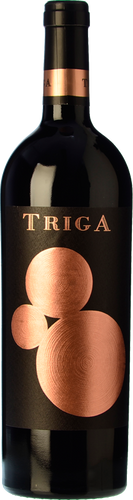 Triga 2017