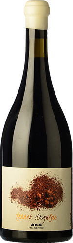 Terrer Singular Negre 2016