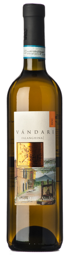 Antica Masseria Venditti Falanghina Vàndari 2019
