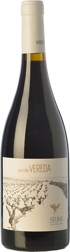 Bruma del Estrecho Parcela Vereda 2017
